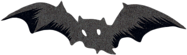 Bats Right